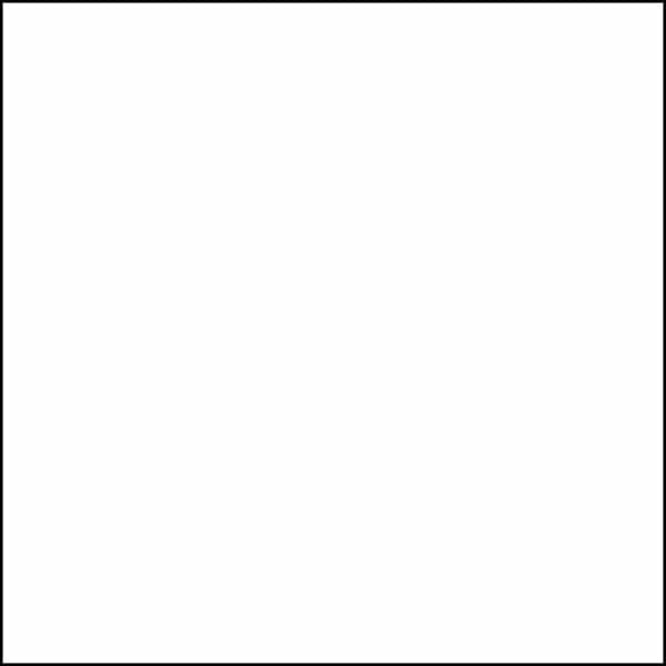 Primer - White
